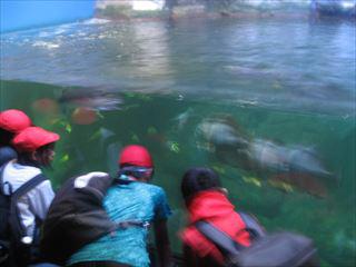 800101-000040_R.JPG