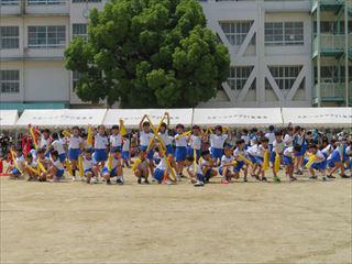 IMG_0101_R.JPG