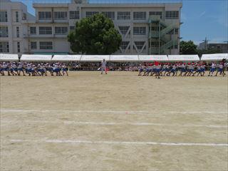 IMG_0116_R.JPG