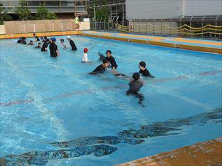 IMG_0391_R.JPG