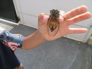 IMG_0663_R.JPG