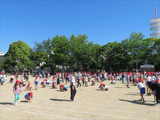 IMG_3764_R.JPG