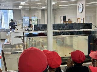 Image_20240705_192124_154_R.jpg