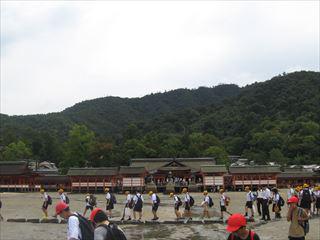 800101-000004_R.JPG
