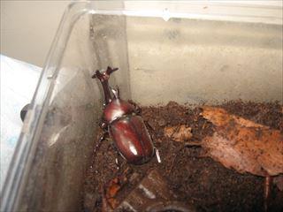 IMG_0325_R.JPG