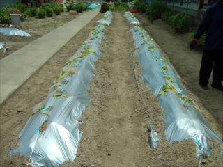 DSCF0037_R.JPG