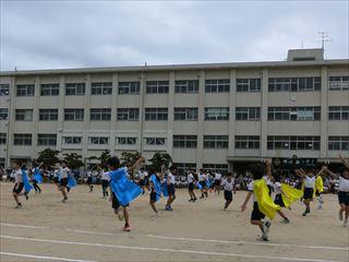 IMG_0586_R.JPG