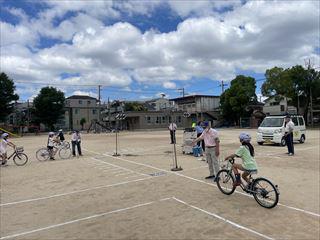 IMG_6574_R.JPG