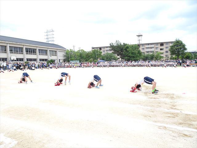 DSC00950_R.JPG