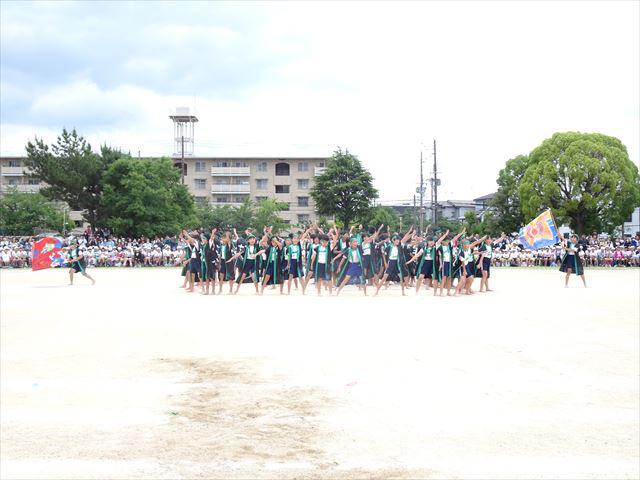 DSC00976_R.JPG