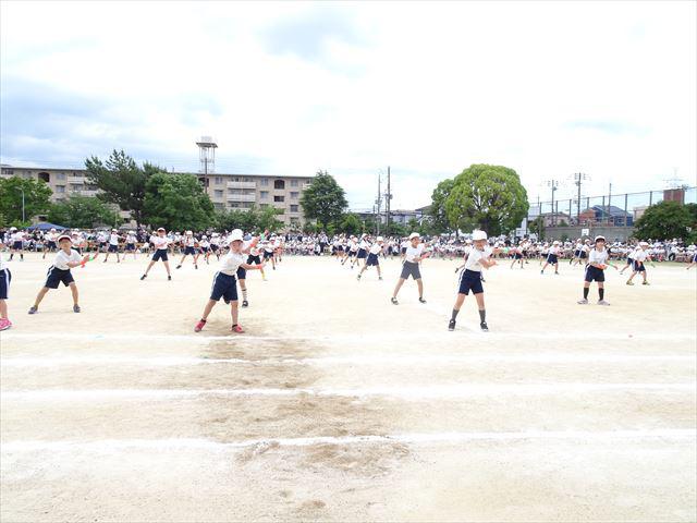 DSC00991_R.JPG
