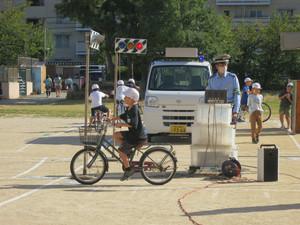 IMG_3485.jpg