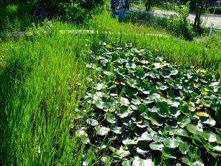DSCF8022_R.JPG
