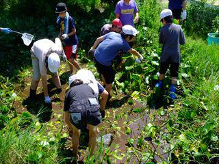 DSCF8028_R.JPG