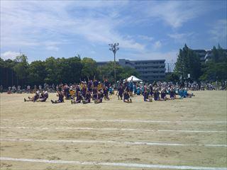 DSCF0207_R.JPG