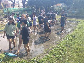 DSCF0154_R.JPG