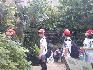 DSCF0323_R.JPG