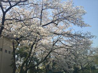 DSCF0575_R.JPG