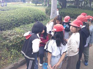 DSCF0934_R.JPG