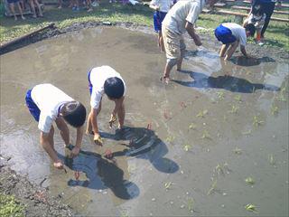 DSCF0255_R.JPG