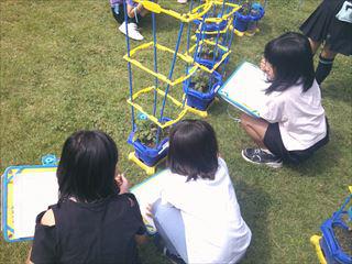 DSCF0252_R.JPG