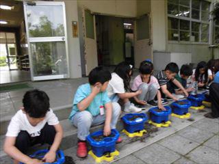 CIMG2082_R.JPG
