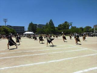 CIMG2195_R.JPG