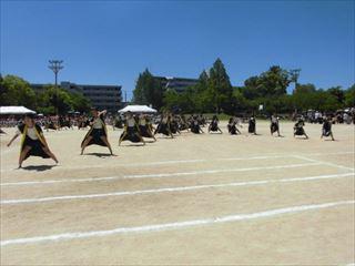 CIMG2201_R.JPG