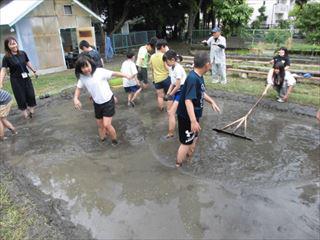 CIMG2213_R.JPG