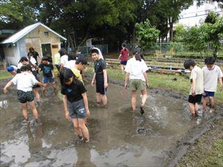 CIMG2218_R.JPG