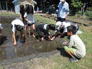 CIMG2229_R.JPG
