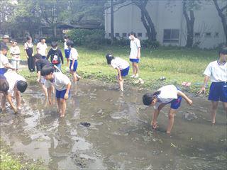 DSCF0242_R.JPG