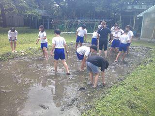 DSCF0243_R.JPG