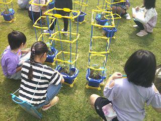 DSCF0251_R.JPG