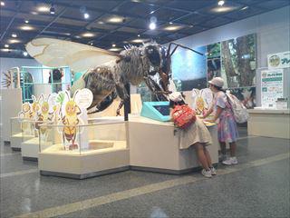 DSCF0330_R.JPG