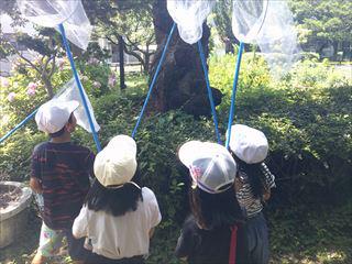DSCF0415_R.JPG