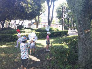 DSCF0416_R.JPG