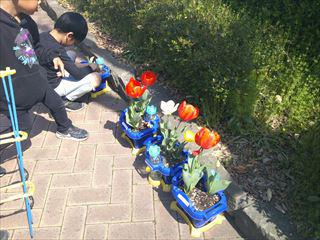 DSCF0577_R.JPG
