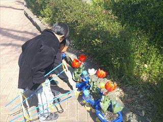 DSCF0578_R.JPG