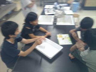 DSCF0646_R.JPG