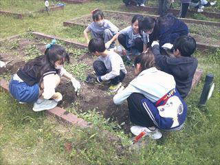 DSCF0654_R.JPG