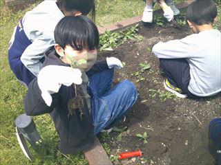DSCF0655_R.JPG