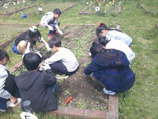 DSCF0656_R.JPG