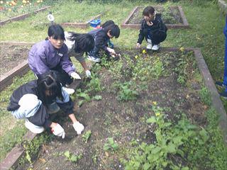 DSCF0657_R.JPG