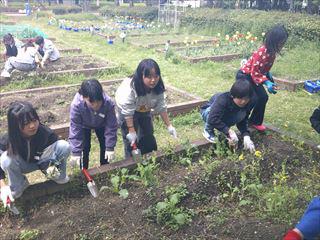 DSCF0658_R.JPG