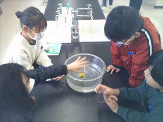 DSCF0685_R.JPG