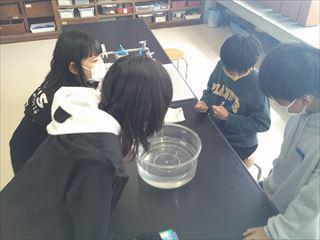 DSCF0690_R.JPG