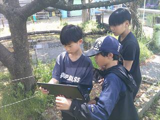 DSCF0737_R.JPG