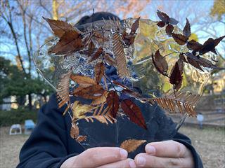 IMG_1460_R.jpg