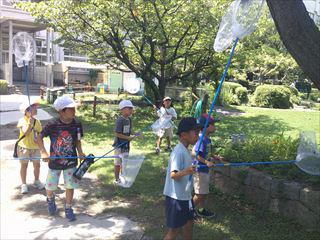 DSCF0412_R.JPG